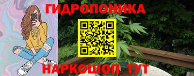 стафф Краснознаменск