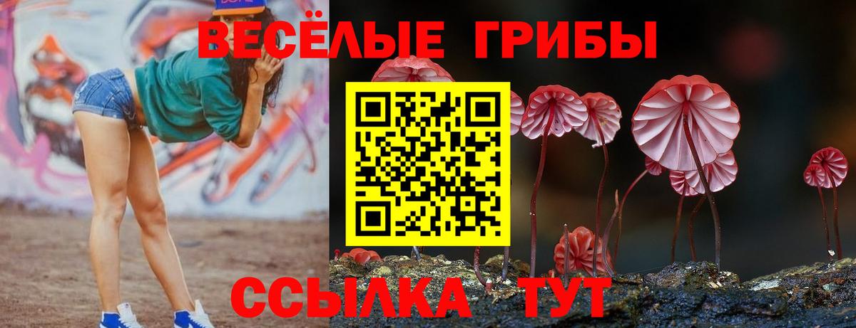 закладки  Вход с VPN  Котлас  Псилоцибиновые грибы MAGIC MUSHROOMS 